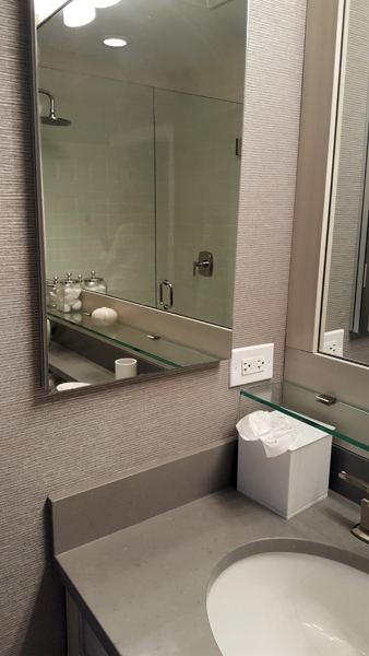 Mirror Medicine Cabinet Normandy Remodeling